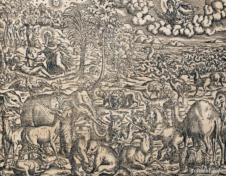 Die Erschaffung der Welt, die Erschaffung der Eva, das Paradies (Biblia 1570)