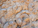 Biblische Orte - Ammonitenwand