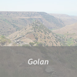 Golan