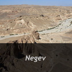 Negev