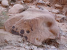 Biblische Orte - Wadi Rum